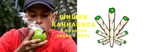 стаф Вязники