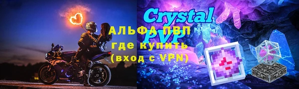 стаф Вязники